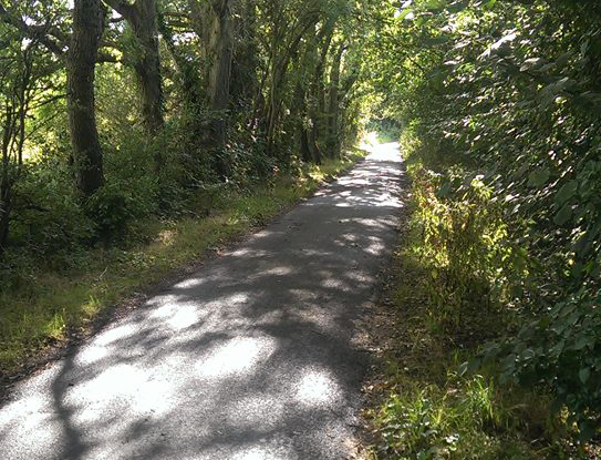 10501862_270968283111300_1210162714885049479_n