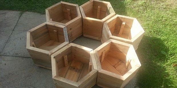 10690060_890903580929862_5041589048603764473_n