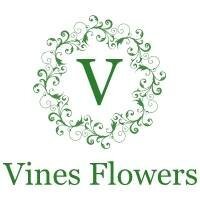 12111946_979096762129196_5173869054056823187_n