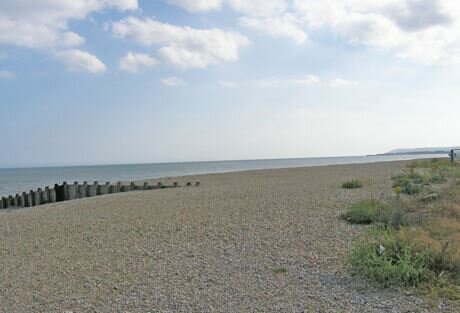 13015416_1091921697548479_2361603434310821574_n