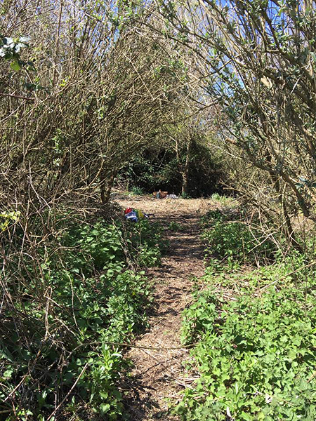 13095967_577560859079735_8105756405891607347_n