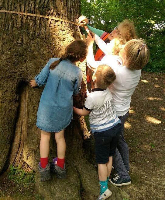 13320586_509704282571031_747722971087311642_o