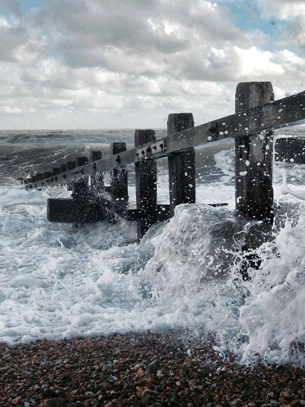 1538830_736786086373870_5143627273789844658_n