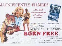 1611-20131125141130_540x360