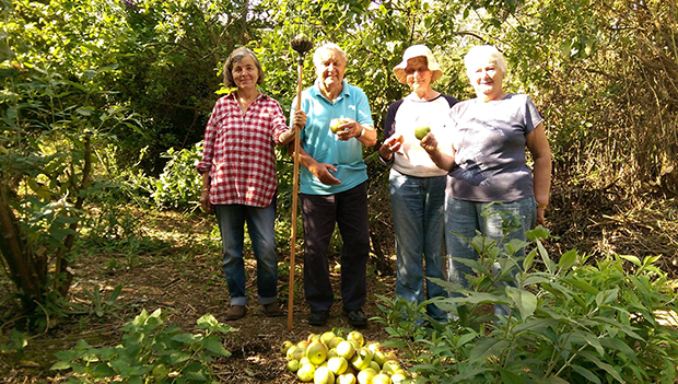 17016037_735839016585251_8797808346618238387_o