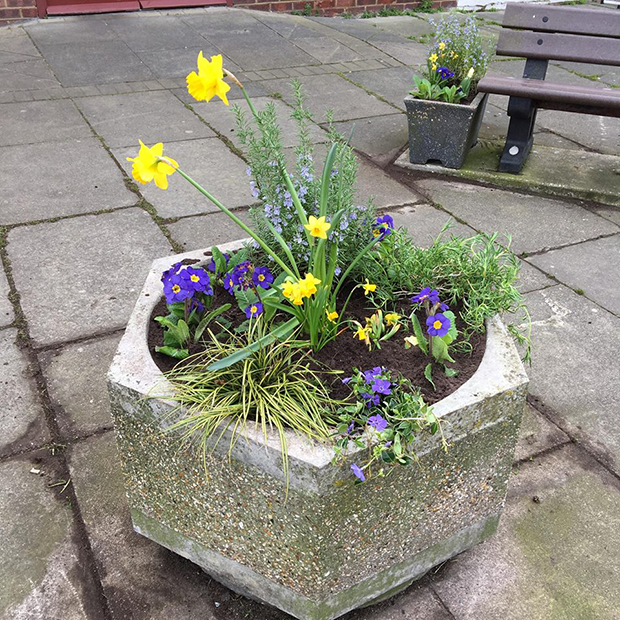 17343058_1002798193185892_7871148371604994527_n