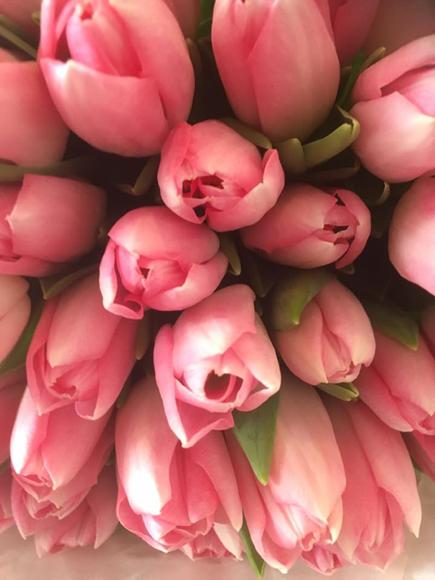 17457942_1376683725703829_2954350520307911253_n