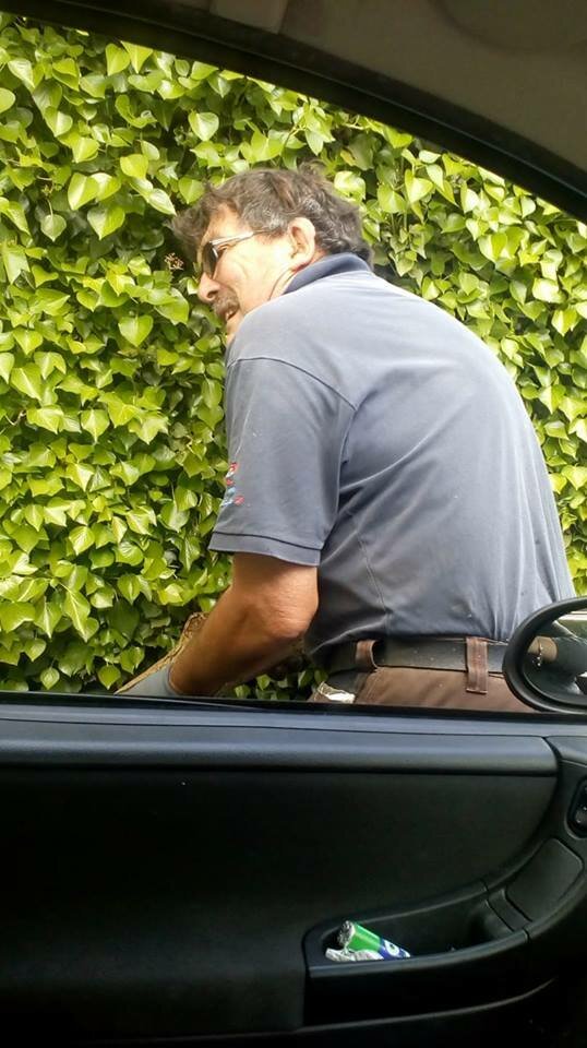 18425538_10154686263079506_7476771589248456655_n