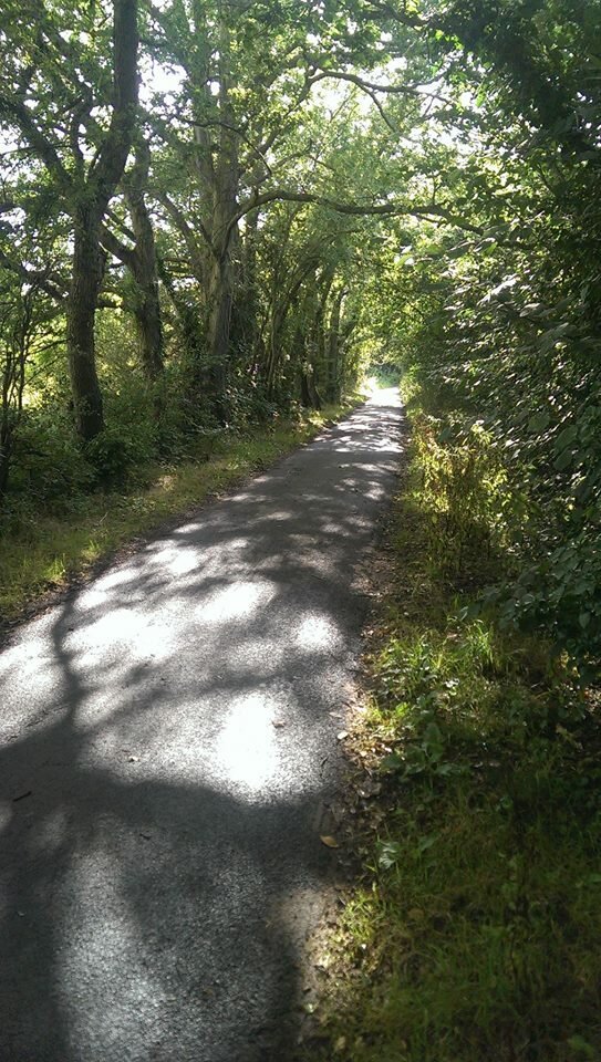 1978569_270968283111300_1210162714885049479_o