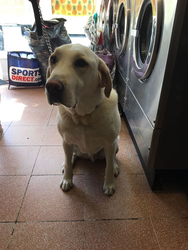 38140413_2328212253863478_8637254591752175616_n