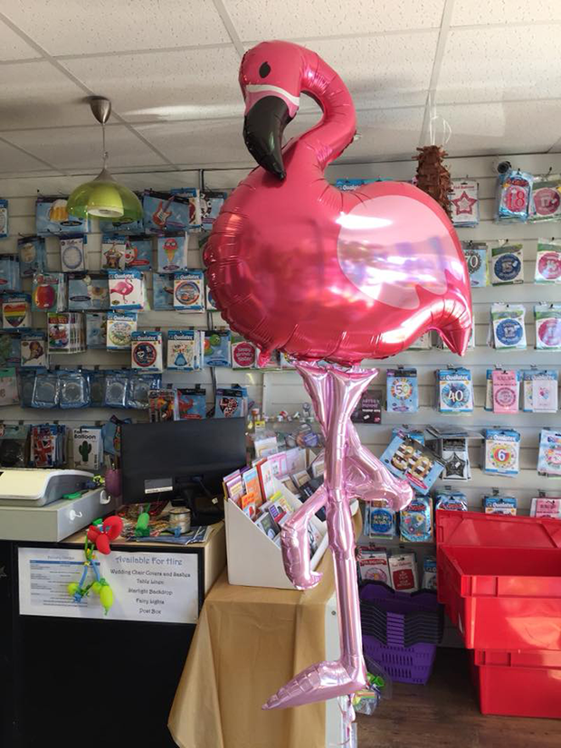 38612512_807565989367236_7641501685856075776_n