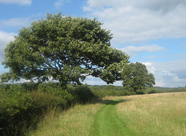 458945_282746168466040_1247136290_o