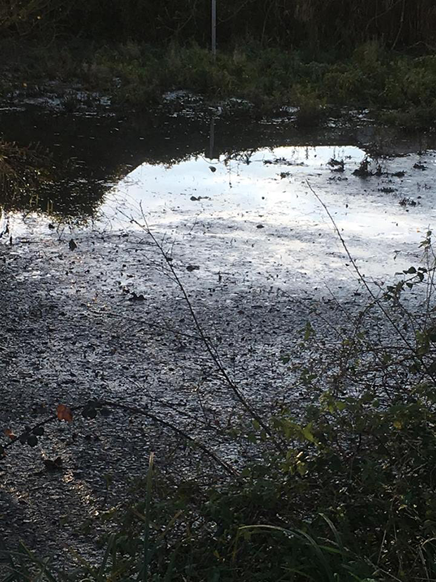 47379562_581770872251763_7170346281745776640_n-1