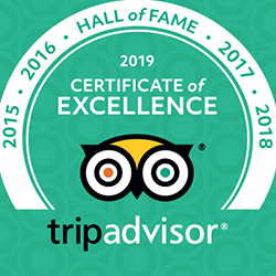 60754729_963777833792787_5197141793753268224_n