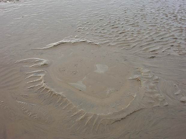 Env-Mudhole01_2006-04-28_large