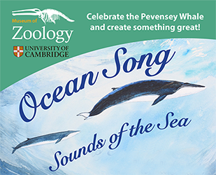 Pevensey-OSP-A5-flyer2