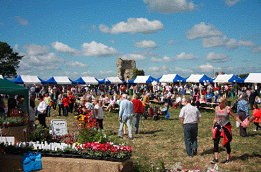 Screen-Shot-2014-11-13-at-17.43.59