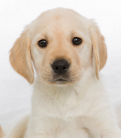 Screen-Shot-2018-04-12-at-08.39.00