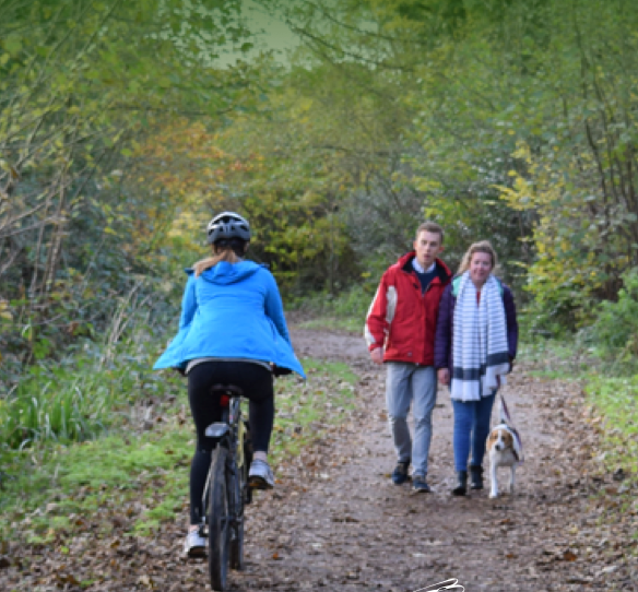 Screen-Shot-2018-04-23-at-16.59.27