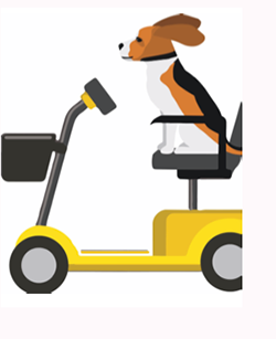 activity days mobility