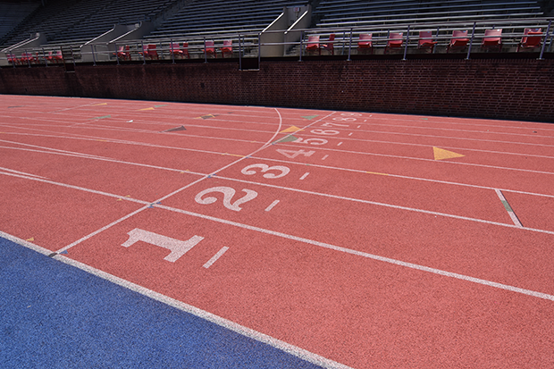 cupcake-media-704554-unsplash