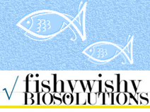 fishywishy2