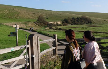 news_Walkersforweb452649_12161